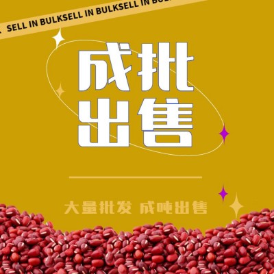 【大粒】东北红小豆 大粒农安红 精品红豆 批发价格 大货批发