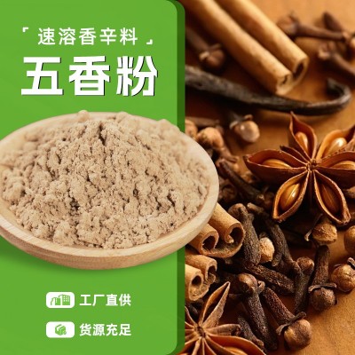 五香粉速溶香辛料吉林源头工厂批发量大价优食品速溶香辛料
