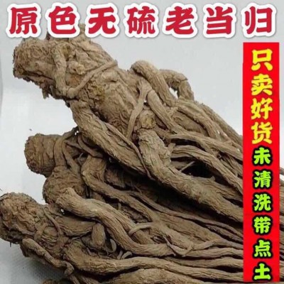 中大当归个250g/袋 全当归可切片甘肃特产当归头 有党参黄芪批发