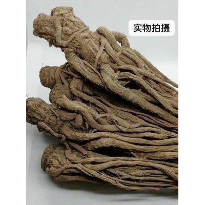 中大当归个250g/袋 全当归可切片甘肃特产当归头 有党参黄芪批发图3