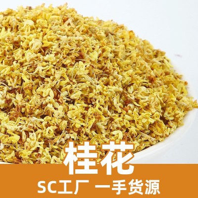 新货桂花干散装广西脱水干桂花安徽挑选新鲜干货金桂花花果茶批发