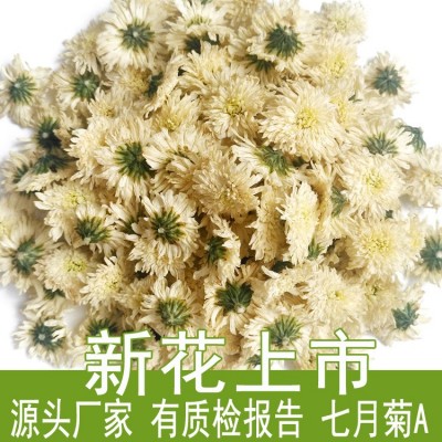 24年新花安徽白菊花散装批发500g七月菊产地货源厂家黄山贡菊花茶