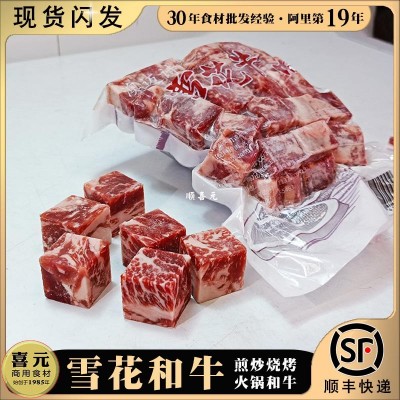 雪花和牛 1斤/袋牛肉粒澳迈诗谷饲肥 安格斯和非进口原切牛肉冷冻