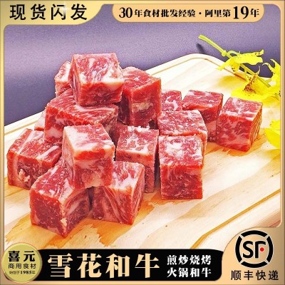 雪花和牛 1斤/袋牛肉粒澳迈诗谷饲肥 安格斯和非进口原切牛肉冷冻图4