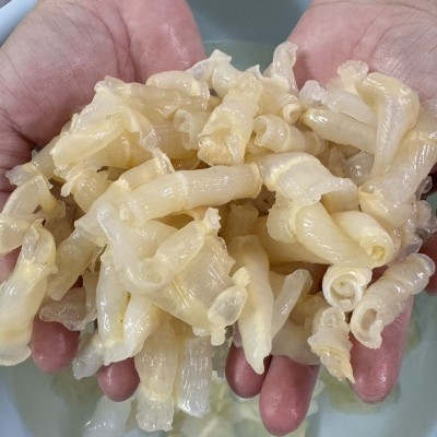海味干货滋补花胶凤尾胶酒店饭店甜品款鱼胶冻电商引流散装批发图3