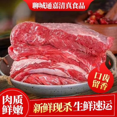 牛腩 牛腿牛腩牛肉原切批发烧烤肉生鲜牛肉肉食新鲜价优