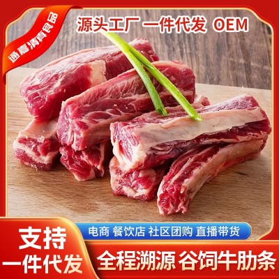 牛排骨 新鲜牛排骨黄牛牛肋排牛小排现杀生牛肉厂家供应图3