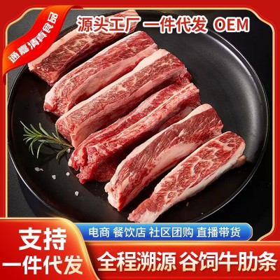 牛排骨 新鲜牛排骨黄牛牛肋排牛小排现杀生牛肉厂家供应图4