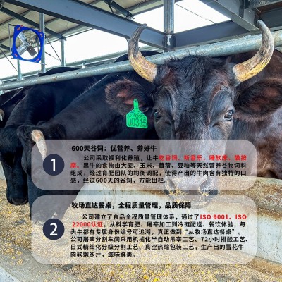 名牛黑牛国产和牛A3眼肉 新鲜 谷饲 原切牛肉 牛排 烤肉 涮肉图4
