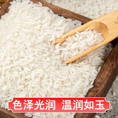 盖亚农场兴凯湖大米10斤装黑龙江长粒香米2024年新米厂家直供图3