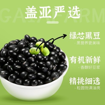 盖亚农场绿芯黑豆1000g罐装豆子办公居家炒货干果休闲即食图4