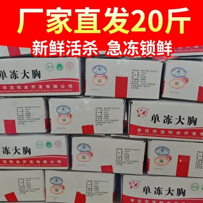 工厂批发单冻鸡胸肉新鲜鸡脯肉出口鸡大胸学校酒店食堂精修鸡胸肉图2