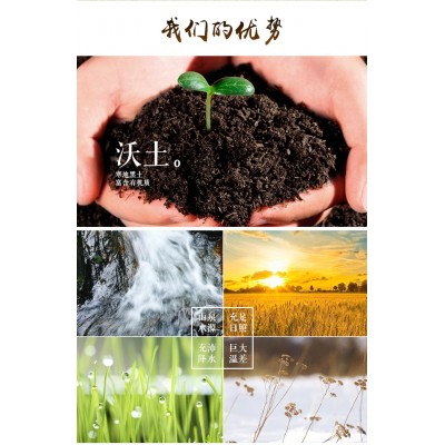 （味园）优福红米5斤真空