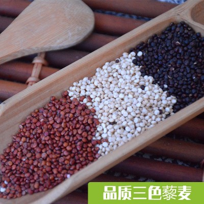 藜麦米青海大粒三色藜麦白红黑五色藜麦大量现货批发25kg/袋图3