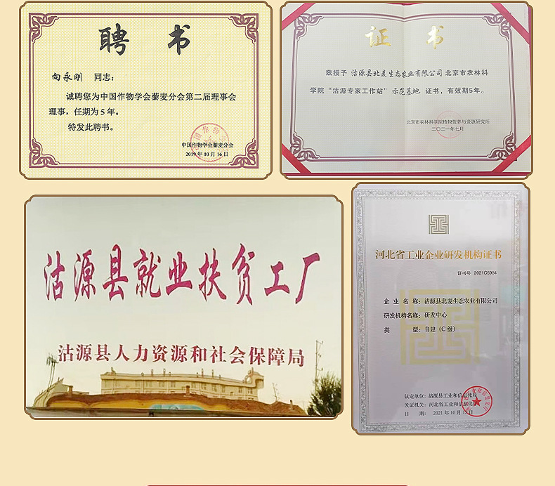 北麦24
