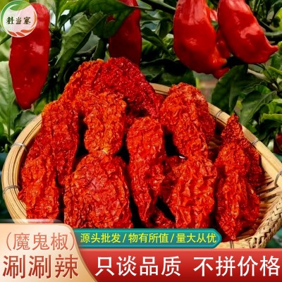 魔鬼涮涮辣500g魔鬼辣变态辣巨辣提辣增辣魔鬼椒象鼻辣云南涮涮辣