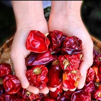 灯笼辣灯笼椒500g微辣香辣型干灯笼辣灯笼椒批发贵州干灯笼椒图2