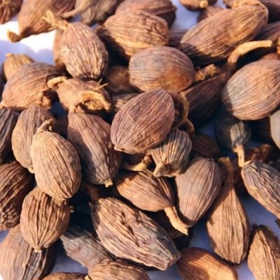 草果云南草果500g大料草果卤料草果卤味火锅炖肉香辛大料云南草果图5