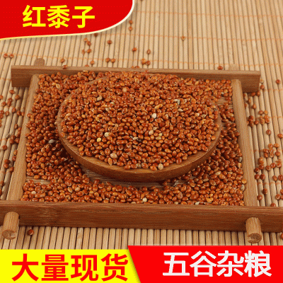 批发 鸟粮农家自产带壳红黍子鸟食谷子 枕头填充物黍子红黍子