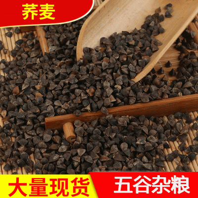 大量批发 甜荞麦带壳荞麦 酿酒鸟粮五谷杂粮 现货袋装100斤荞麦