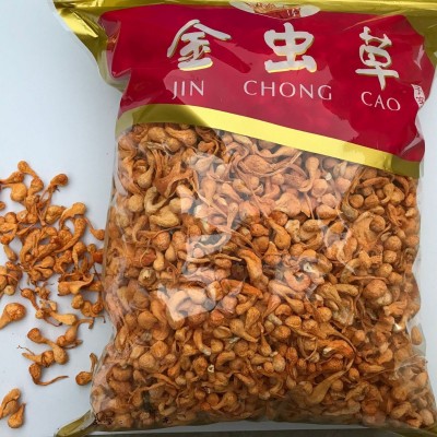 虫草花孢子头干货500g 金虫草花蛹虫草北虫草批发图3