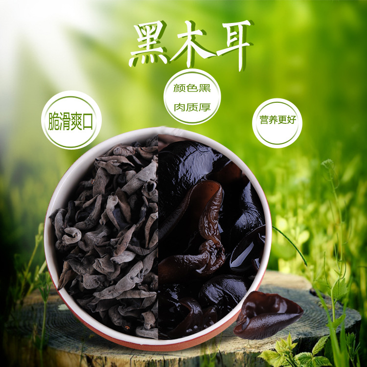 2榛戞湪鑰??鍚夋灄1_01