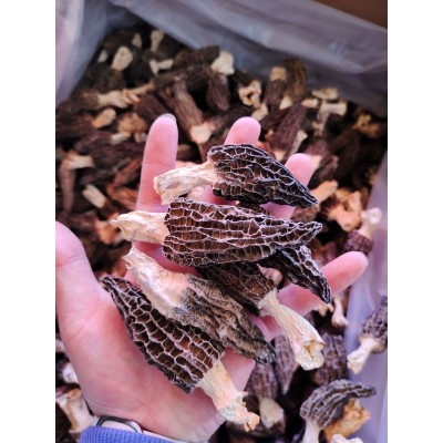 羊肚菌干货一件代发云南特产松茸片羊肚香菇蘑菇煲汤干羊肚菌批发图5