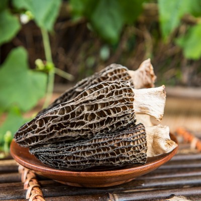 羊肚菌干货一件代发云南特产松茸片羊肚香菇蘑菇煲汤干羊肚菌批发图2