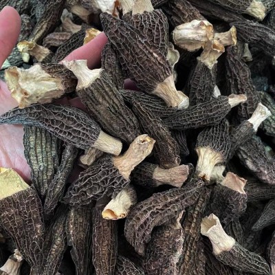 源头厂家头茬新货羊肚菌食用菌干货特产菌汤包酒店餐饮食材图5