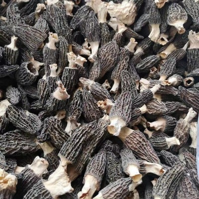 源头厂家头茬新货羊肚菌食用菌干货特产菌汤包酒店餐饮食材图3