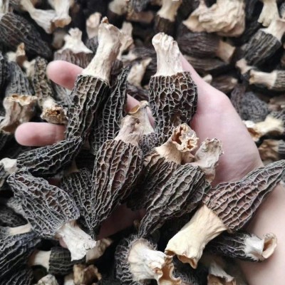 源头厂家头茬新货羊肚菌食用菌干货特产菌汤包酒店餐饮食材图2