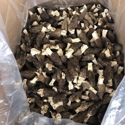 源头厂家头茬新货羊肚菌食用菌干货特产菌汤包酒店餐饮食材图4