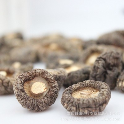 源头厂家香菇金钱菇代加工磨粉新货食用菌干货酒店餐饮食材批发图2