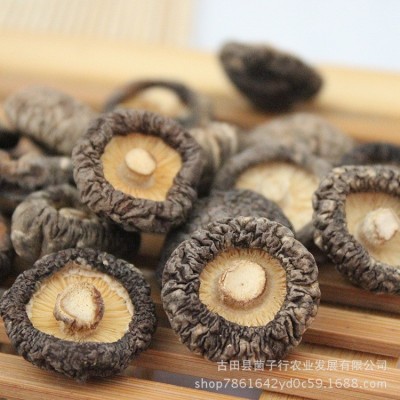 源头厂家香菇金钱菇代加工磨粉新货食用菌干货酒店餐饮食材批发图4