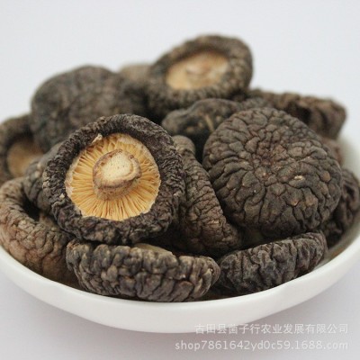 源头厂家香菇金钱菇代加工磨粉新货食用菌干货酒店餐饮食材批发图3