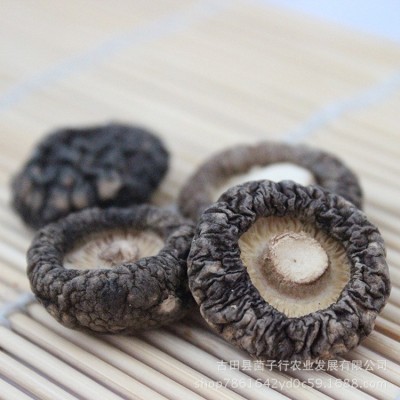 源头厂家香菇金钱菇代加工磨粉新货食用菌干货酒店餐饮食材批发