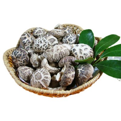 优质花菇 大花菇香菇 白花菇茶花菇批发菌汤包干货特产一件代图5