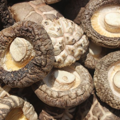 优质花菇 大花菇香菇 白花菇茶花菇批发菌汤包干货特产一件代图3