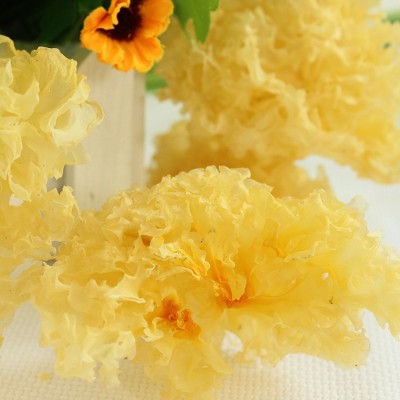 古田银耳农家种植白木耳银耳白花雪耳糯耳食用菌干货产地批发