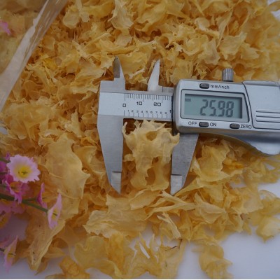 冠发 古田特产农家大片碎银耳白木耳糯雪耳无根干货500g