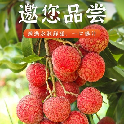 顺丰空运广东清甜糯米糍新鲜荔枝核小肉厚多汁爆甜礼盒装现货批发图2