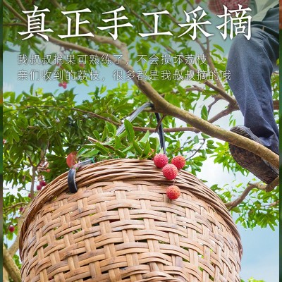 顺丰空运广东清甜糯米糍新鲜荔枝核小肉厚多汁爆甜礼盒装现货批发图5