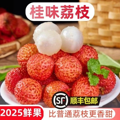 顺丰一件代发新鲜现摘现发水果增城从化桂味礼盒装糯米糍广东荔枝