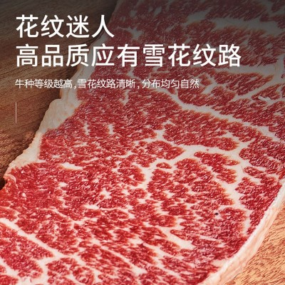 谷饲雪花牛排安格斯原切未腌健身牛肉未腌制进口现货冷冻商用批发图2