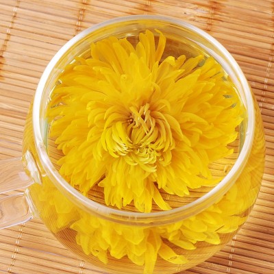 金丝皇菊一朵一杯新花28朵独立装礼盒菊花茶徽州大黄菊花果茶批发图3