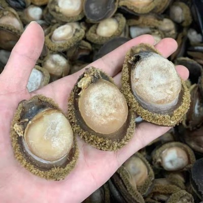 20头非南非鲍鱼250g鲍鱼干批发一手货源海鲜酒店非即食鲍鱼肉商用图2