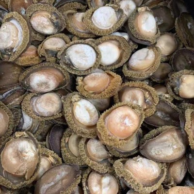 20头非南非鲍鱼250g鲍鱼干批发一手货源海鲜酒店非即食鲍鱼肉商用图4