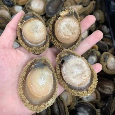 20头非南非鲍鱼250g鲍鱼干批发一手货源海鲜酒店非即食鲍鱼肉商用