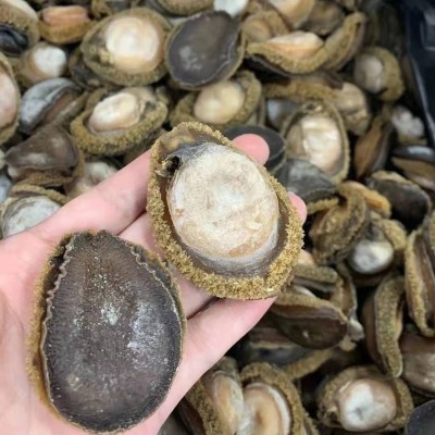 20头非南非鲍鱼250g鲍鱼干批发一手货源海鲜酒店非即食鲍鱼肉商用图3
