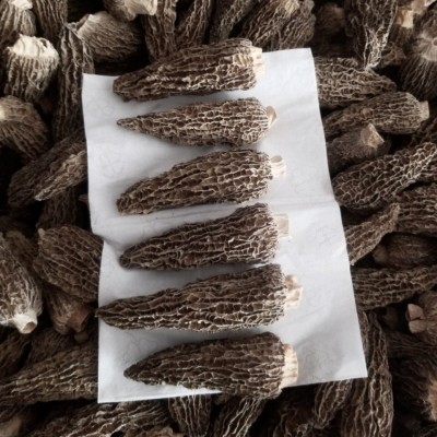 7-8cm精选全剪柄羊肚菌干货批发菌菇汤包煲汤年货摆礼盒专用250g图2